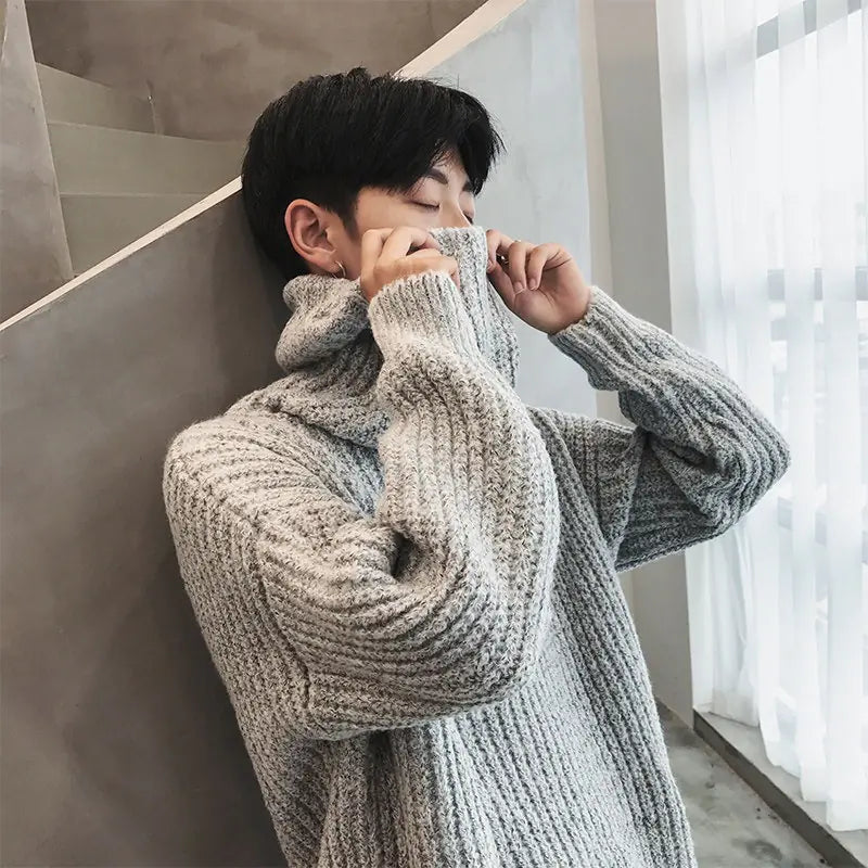 Korean Style Turtleneck Sweater for Men (Autumn/Winter)